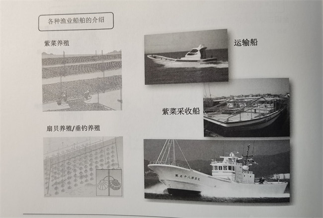 日本的玻璃钢渔船发展之路       -2